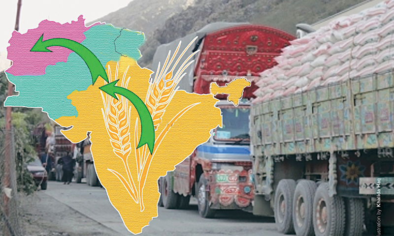 India seeks transit facility for wheat export to Afghanistan